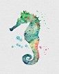 Seahorse Watercolor Art