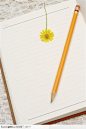 简单生活-记事本上的黄色铅笔