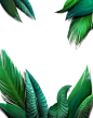 【乐分享】夏季树叶植物叶子海报PSD素材_乐分享-电商设计平面共享素材平台