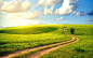 fields nature path spring wallpaper (#1874244) / Wallbase.cc