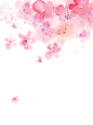 花png 粉色花png 花瓣 花朵 手绘 油彩 