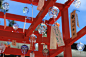 岛国新潟白山神社的风铃节，各种手工制作的玻璃风铃，挂着人们的心愿荡漾在空中...光是看看都觉得凉快 ​​​​