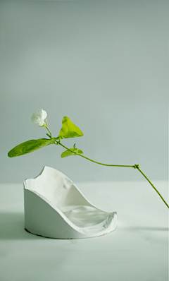 NikkoS采集到场景图（Still life photography）