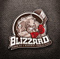 Blizzard logo by ~Snakieball on deviantART