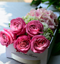 珍爱 进口玫瑰花束 生日创意礼物进口鲜花 进口丁香绣球礼物花盒