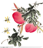 中国国画之花类植物-红色花卉侧面图