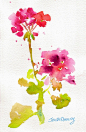 geranium stem by Jan's Art, via Flickr