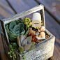 欧式ZAKKA日式做旧木盒陶瓷小多肉花盆组合移植物盆栽韩国办公室-淘宝网