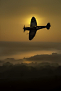 exoticshore:

Three Spitfires landed at the airfield close to my office last week. I’m generally no fan of things military, but when these iconic aircraft roared across the sky, I was in awe!