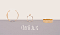 九乾珠宝品牌形象设计 by 三个设计师 - UE设计平台-网页设计，设计交流，界面设计，酷站欣赏