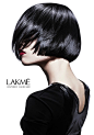 Lakme hair collection 2013 on Behance