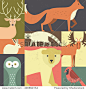 Forest animals made in geometric flat style. Reindeer, fox, moose, bear and other mammals and birds. Save the planet concept. Poster for children room or element for a banner.