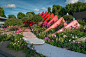 Chelsea Flower Show 2017 | Михаил Щеглов - садовая фотография : Фотосъемка частных и общественных садов и парков, профессиональная фотосессия от садового фотографа.