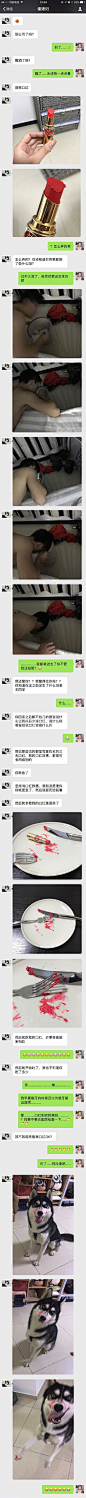 网友醉酒后做了一件极傻的事，二哈莫名躺枪！ ​​​​