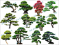 中式2D造型景观树黑松罗汉松植物盆栽盆景SU模型sketchup设计素材-淘宝网