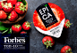 俄罗斯EPICA酸奶品牌系列包装设计|摩尼视觉分享-古田路9号-品牌创意/版权保护平台