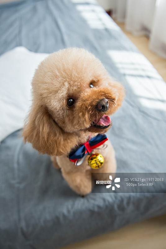 bd1b12957fd3258a49a233b065c8a6074db9785c163ba-IdbEkv