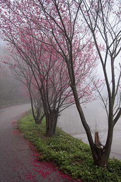 绿茶馨香采集到一路美景