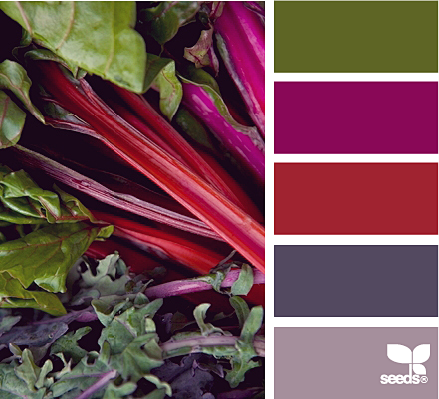 color chard