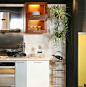厨房装修效果图大全2013图片厨房里的绿色植物装饰
