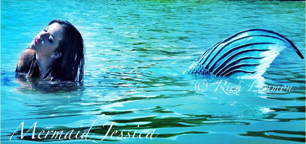 bd4613495b78e59308ed29db9a573df34d66b695105bf2-8f9S6G