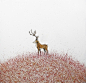 采自Lynn的花瓣画板 插画们。#鹿# 美国插画家Scott Belcastro的旷野意境。