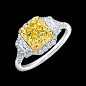 Fancy Intense Yellow Radiant Cut Diamond Ring set in platinum and 18K yellow gold with Trapezoids sidestones  l Norman Silverman Diamonds