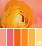 Design Seeds : Design Seeds color palettes ... posted daily for all who love color.