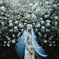 Bella Kotak Photography - In Bloom