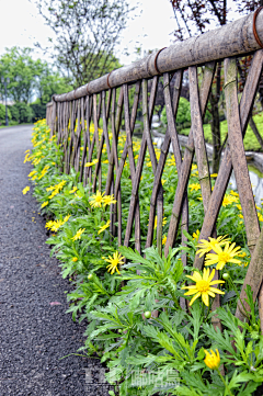 灼灼其华-采集到5-古村、镇