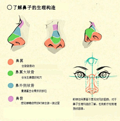 山鬼岐采集到绘画教程