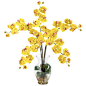 Silk Phalaenopsis Orchid Arrangement in Yellow