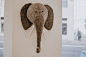 gray elephant head figure hanging on wall