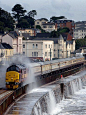 Dawlish, Devon, UK.