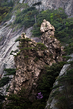 ™旅遊點滴╮采集到AA10.安徽 - 安庆 - 明堂山