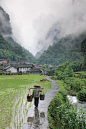 场景素材 梯田