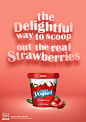 Nestle-Frozen Yogurt : Nestle-Frozen Yogurt