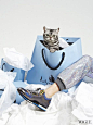 Cat Editorial flat Vogue The Cat and