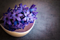 花,厂,紫色,花瓣,碗,蓝色