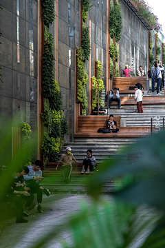 ∮颜--‰~采集到草坪 微地形 台阶 步道 高差