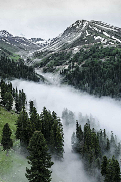 虫灯采集到背景-自然