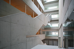 celosia采集到A-Grafton Architects