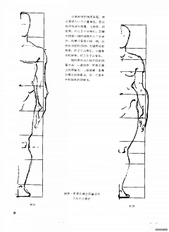 Ni懂否采集到伯里曼人体结构