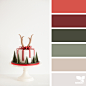 Design Seeds : Design Seeds color palettes ... posted daily for all who love color.