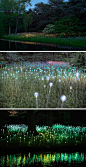 艺术家 Bruce Munro 在美国费城长木花园（Longwood Gardens），利用上万LED光源与半透明玻璃瓶，制做出一座「光的森林」，使慕名游客徜徉在梦幻的光晕世界中，展览持续至2012年9月1日。