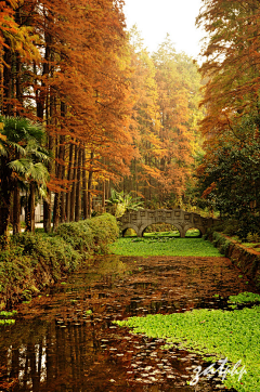 木木森火火焱采集到风景