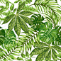 Seamless exotic pattern with tropical leaves on a white background. Vector illustration. 