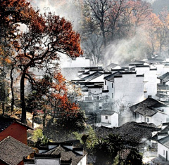 雪灯笼采集到美图✿景色摄影