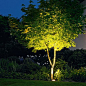 #Inspiratie #Tuinverlichting #Mazzelshop Mooi om de bomen te verlichten