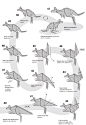 那么今天来折一只袋鼠（设计：萩原元，教程出自《折纸精神》） ​​​​